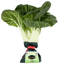 Bok choy stir fry
